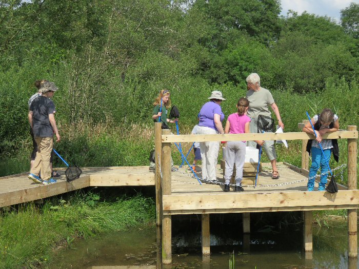 Pond dipping at the new platform