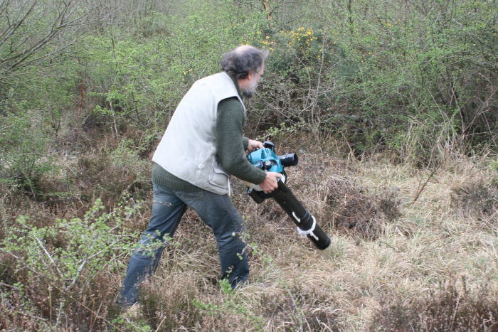 Dr Key hoovering inssects from the heather