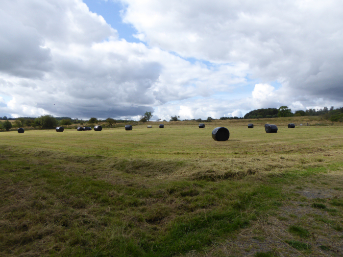 Bales on the middle moor