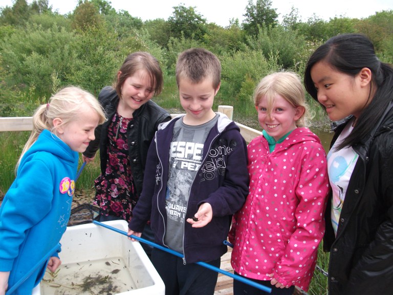 Pond-dipping