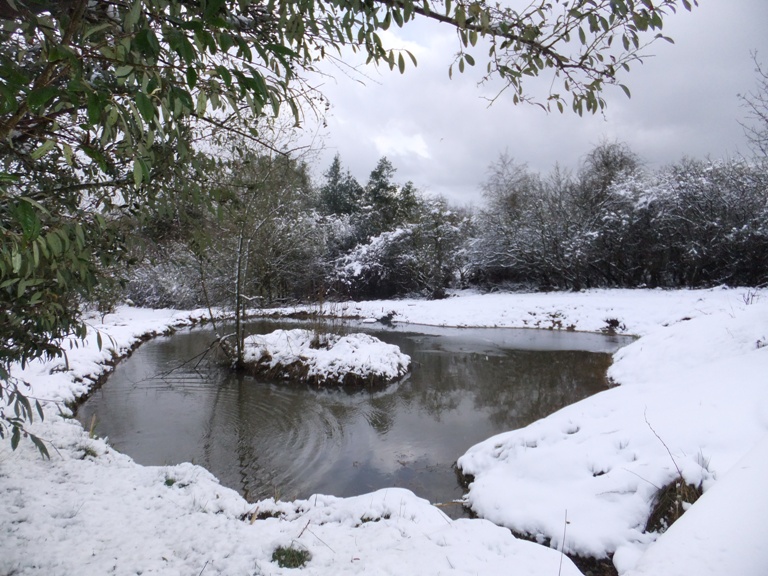 Voley ponds in snow
