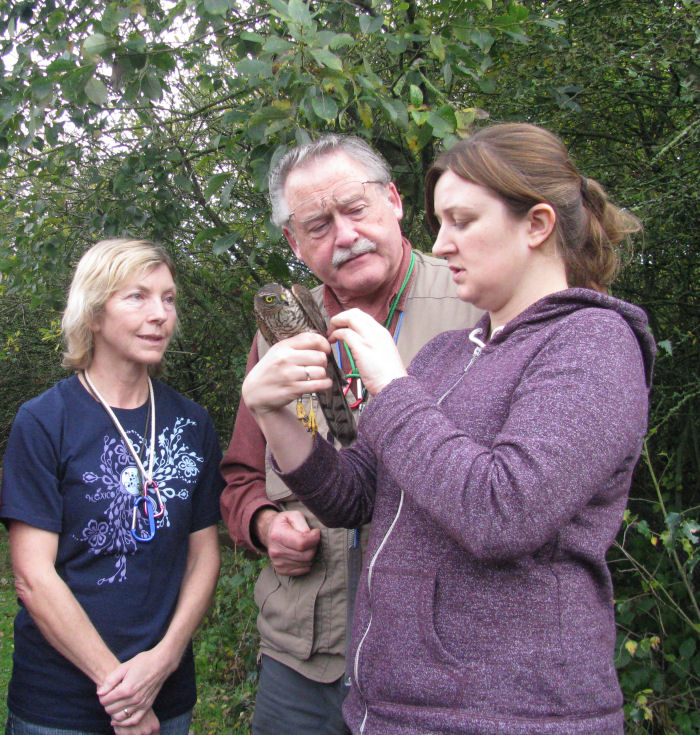 ringers looking at the Sparrowhawk