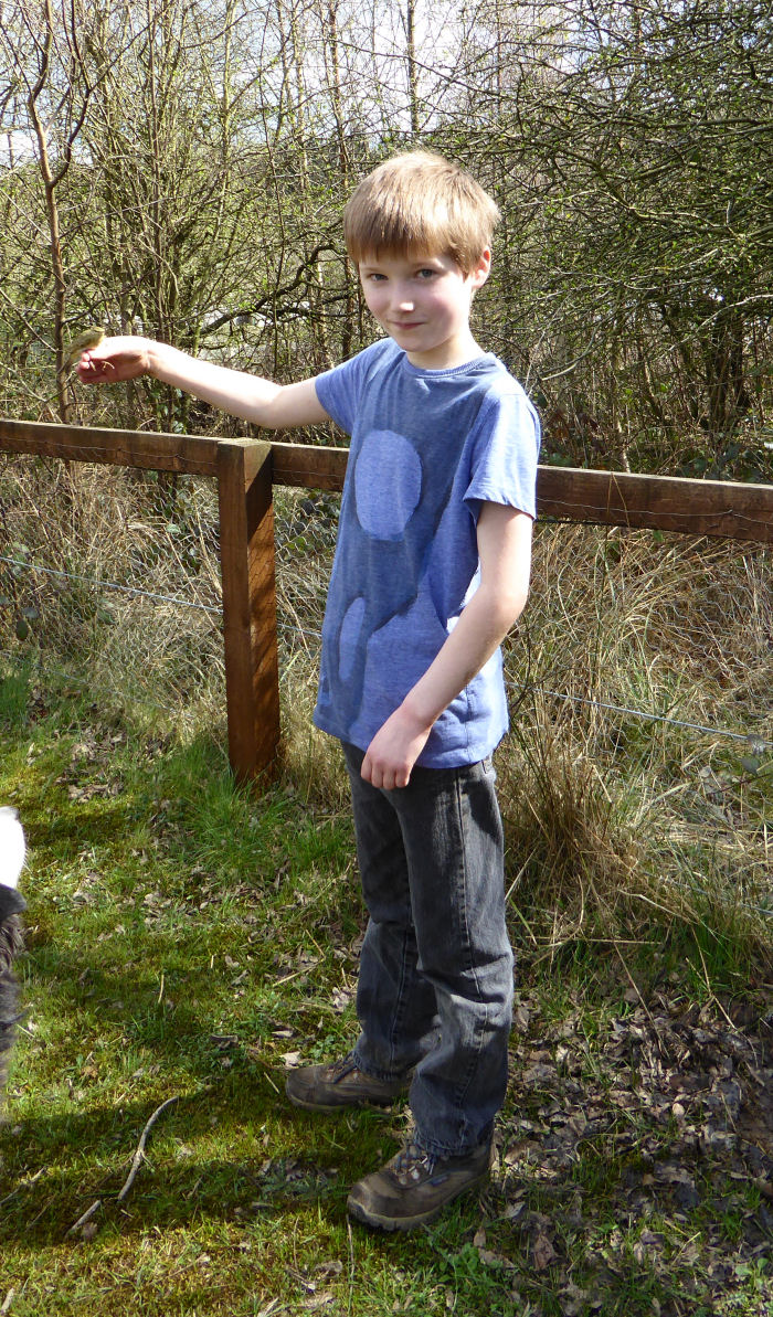 Ben and his Willow Warbler