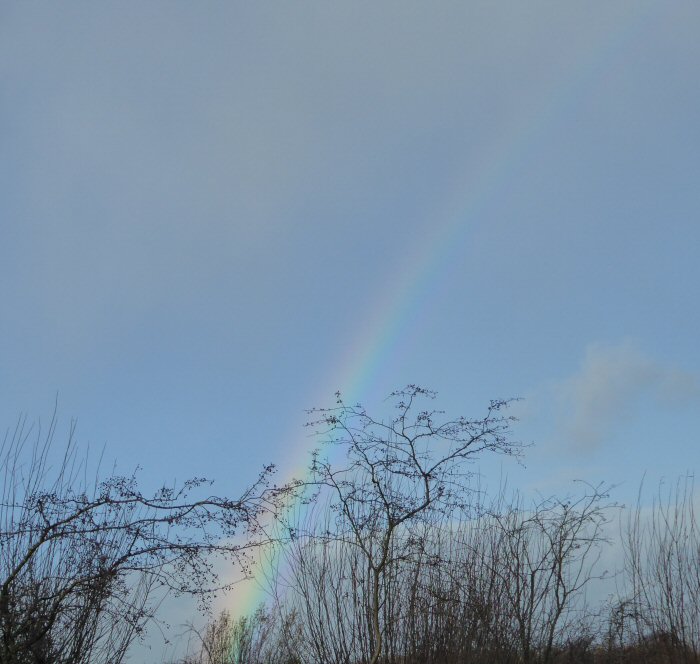 A rainbow