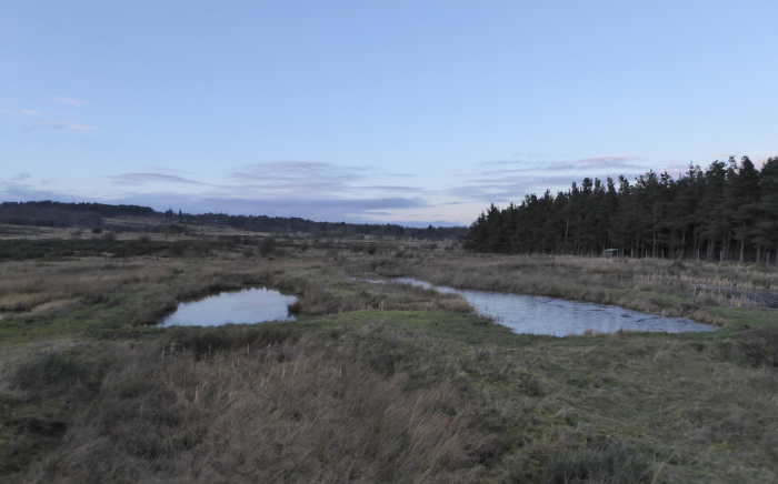 View from the wetland hide