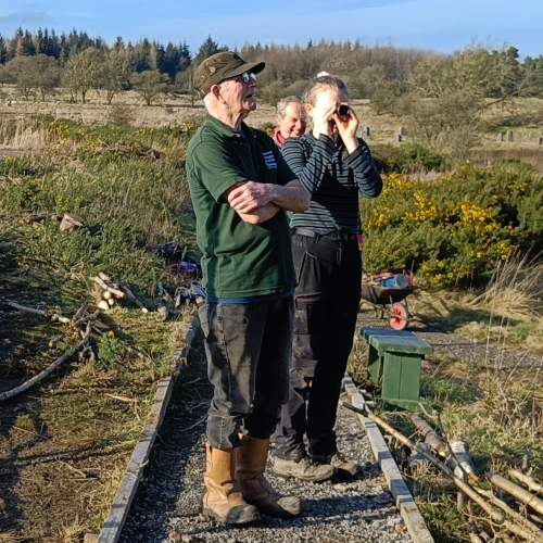 Discover Foxglove Covert Local Nature Reserve