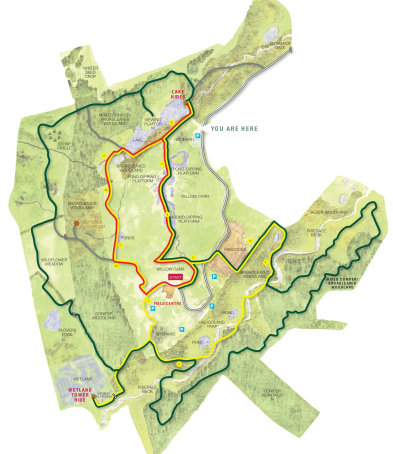 Foxglove Covet LNR map