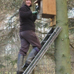 Replacing owl boxes on the training area