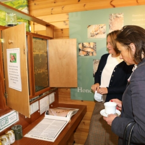 The Lord-Lieutenant was shown the indoor bee hive